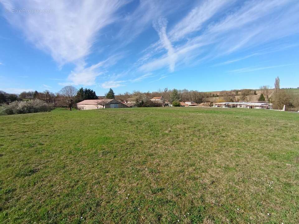 Terrain à CHAMPNIERS