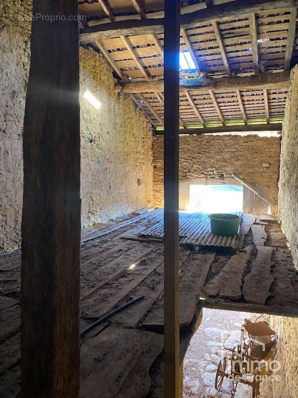 Maison à MONTAGNA-LE-TEMPLIER