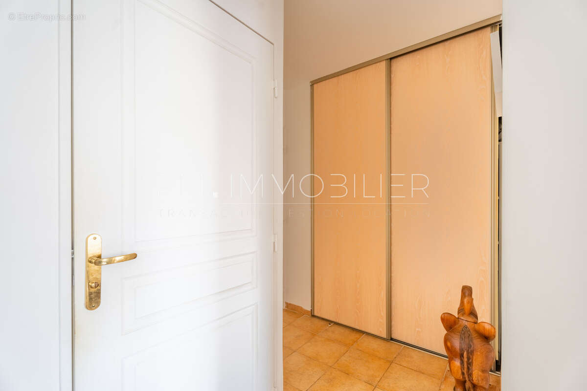 Lumiere des pins - photo 10