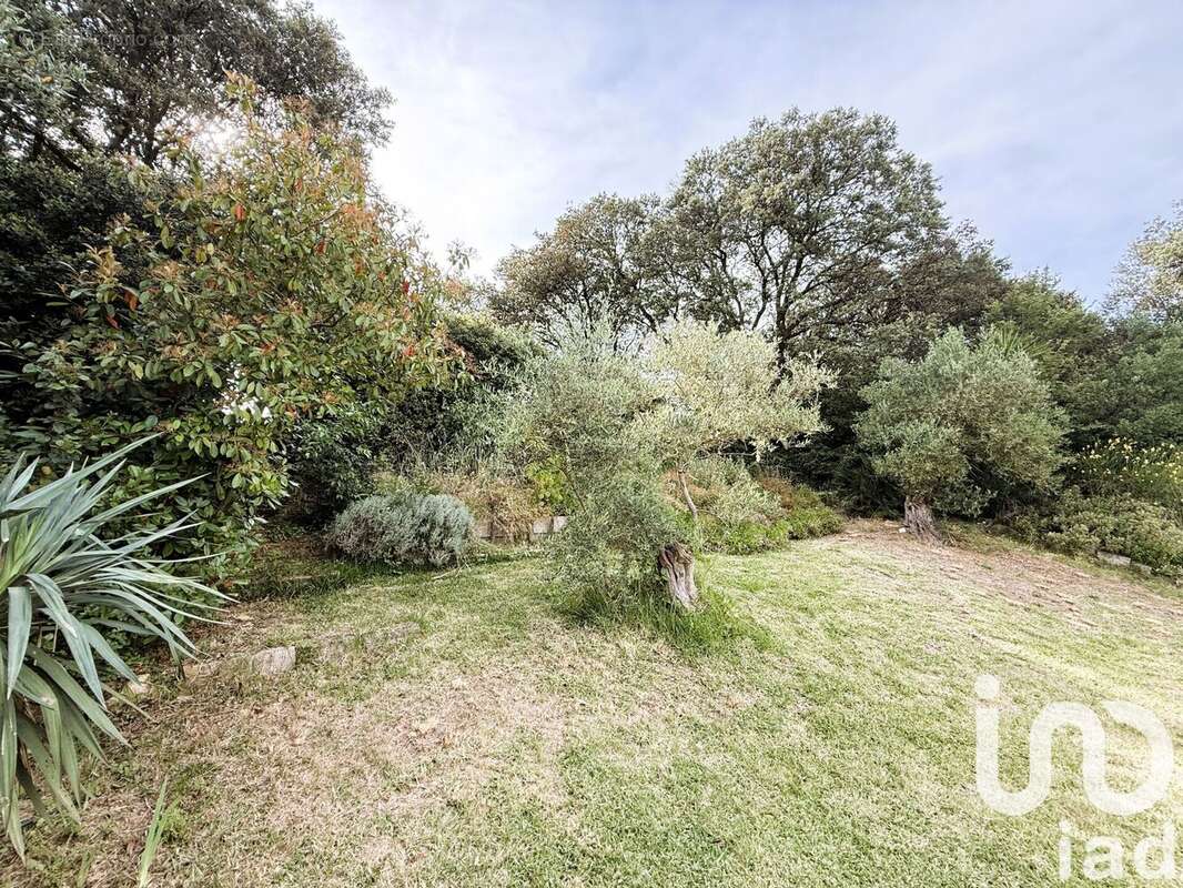 Photo 3 - Maison à SAINT-GILLES