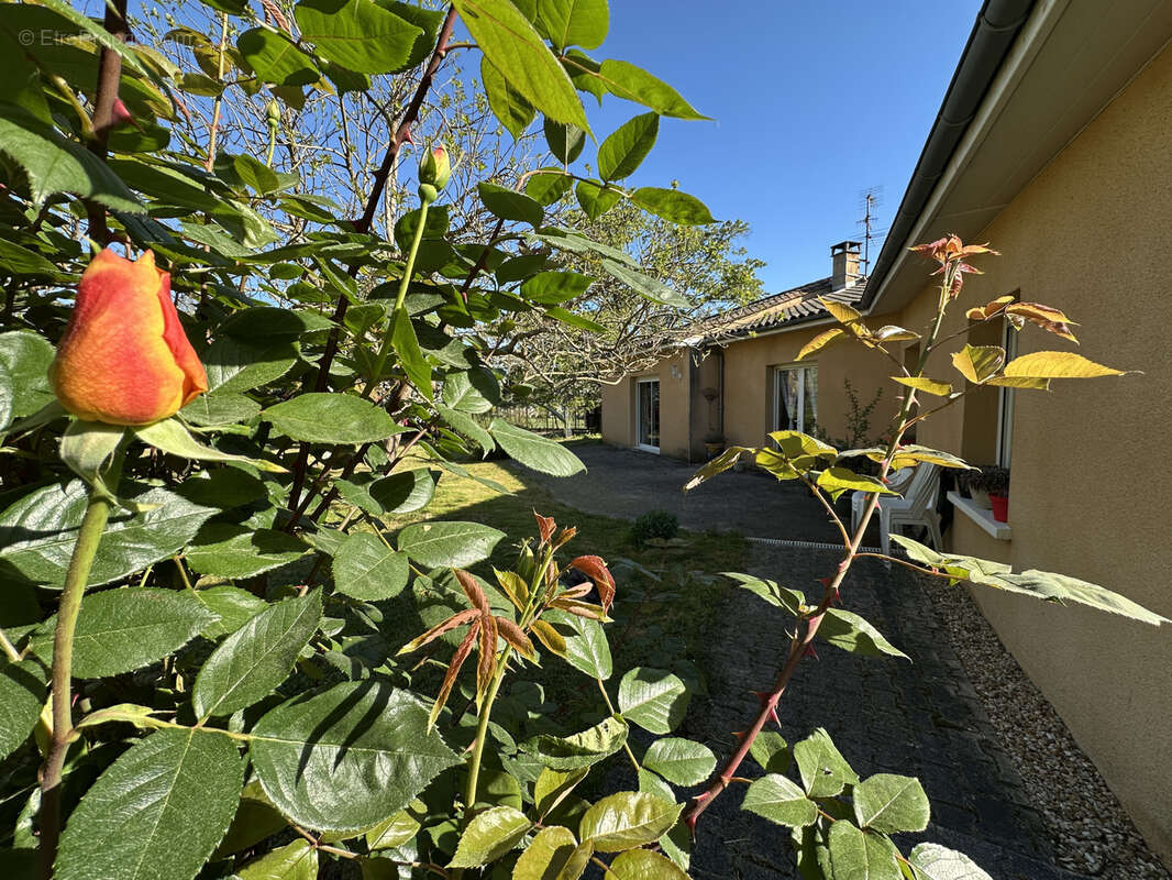 Maison à SAINT-AULAYE