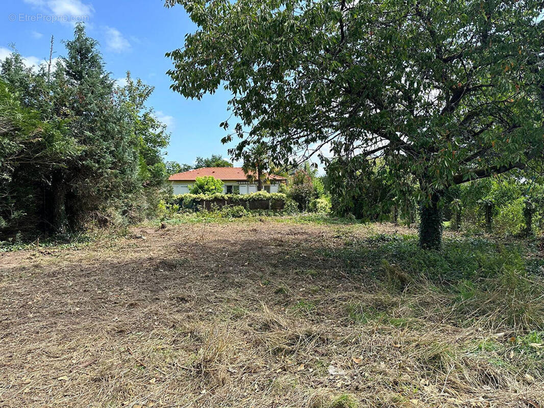 Terrain à SAINT-CYR-EN-VAL