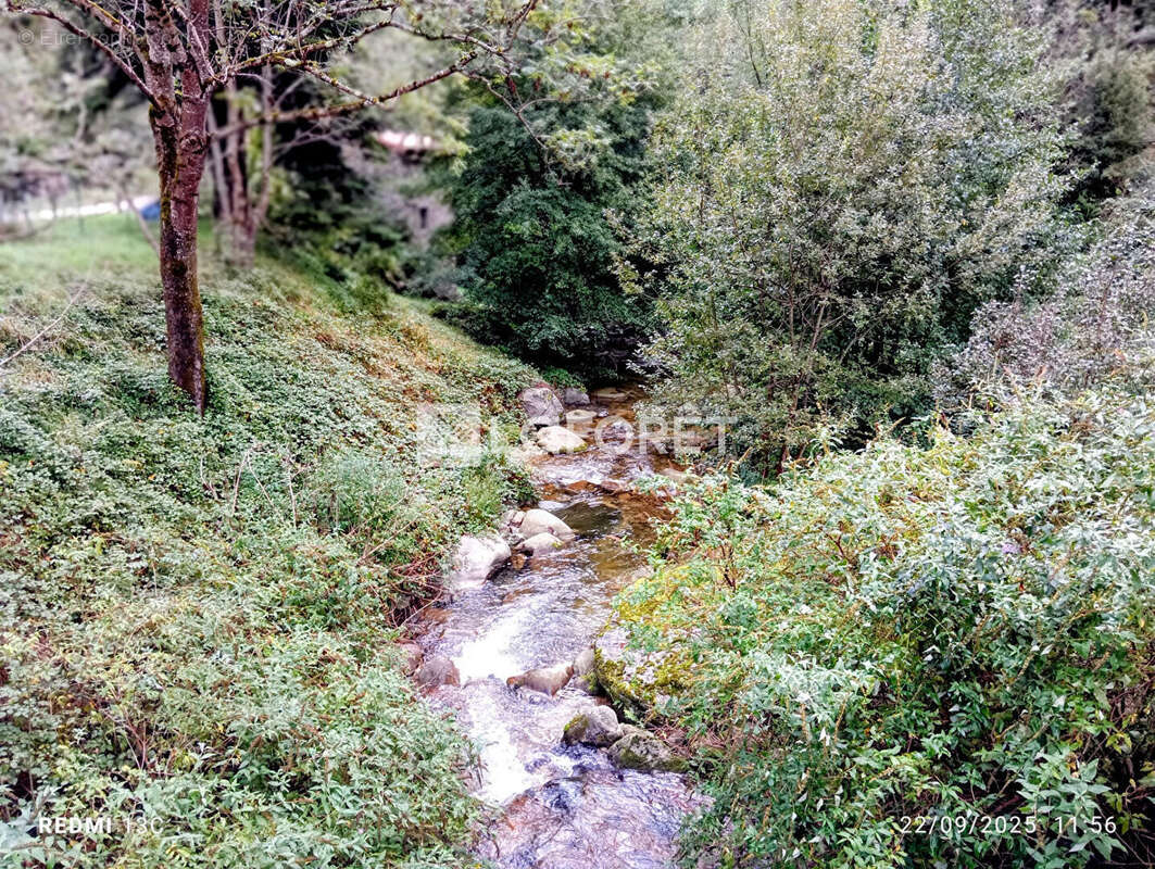 Terrain à PRATS-DE-MOLLO-LA-PRESTE
