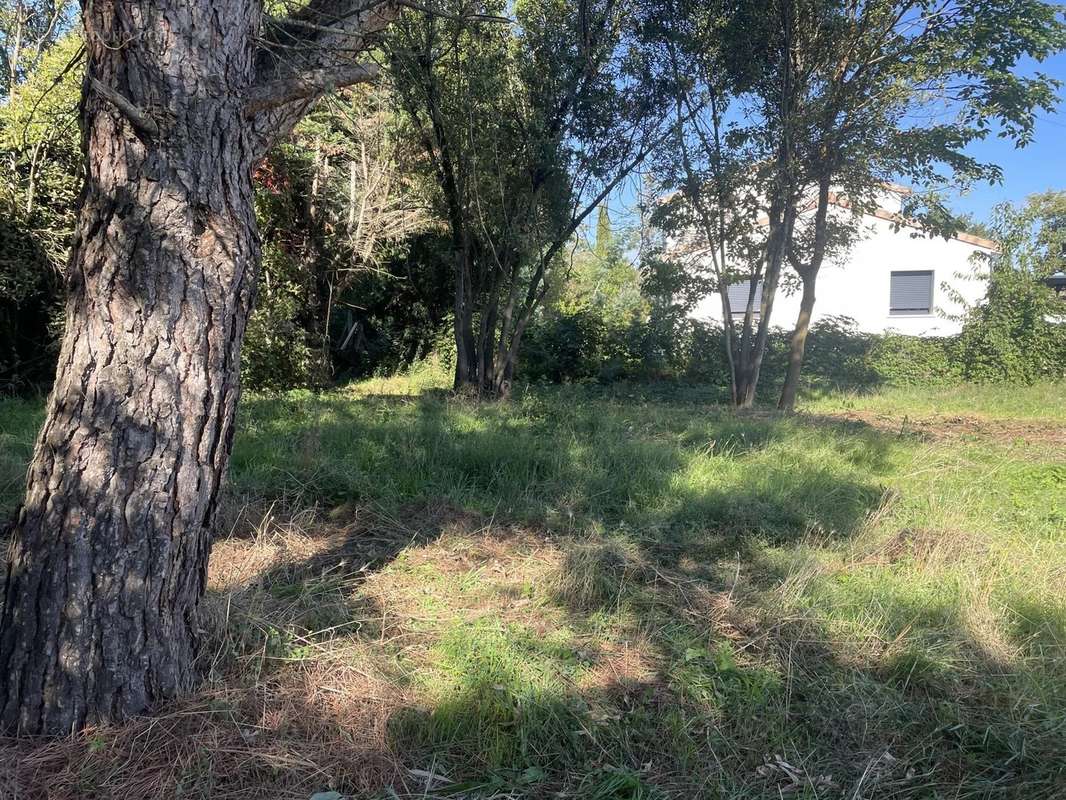 Terrain à PLAISANCE-DU-TOUCH