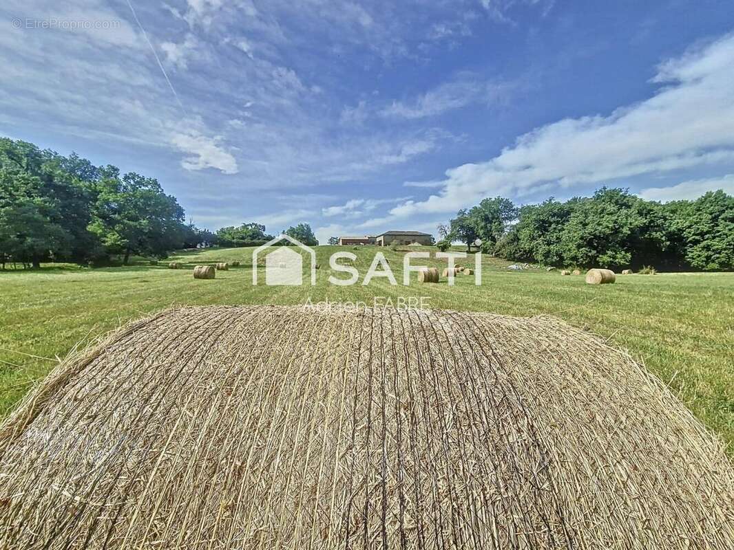 Photo 8 - Autre à SAINT-SULPICE