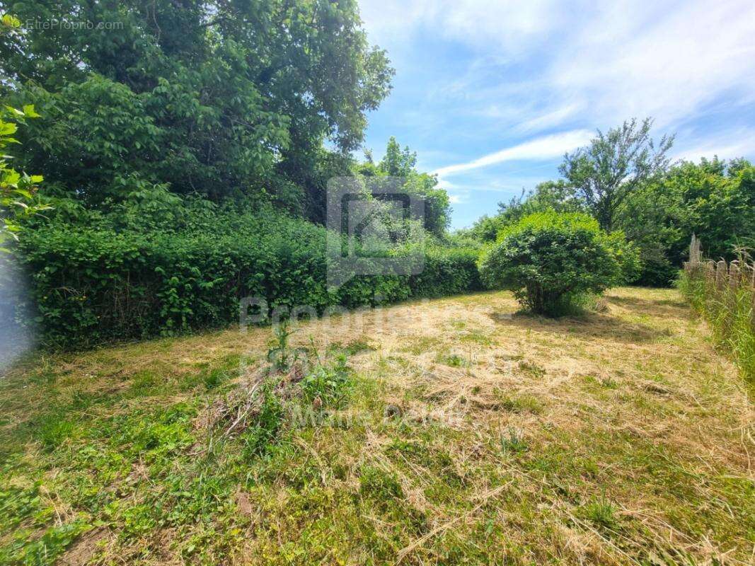 Maison à MESVES-SUR-LOIRE