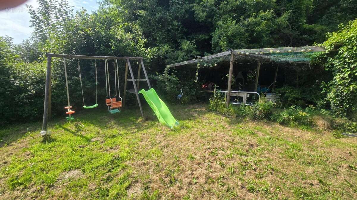 Au cœur de la forêt - photo 15