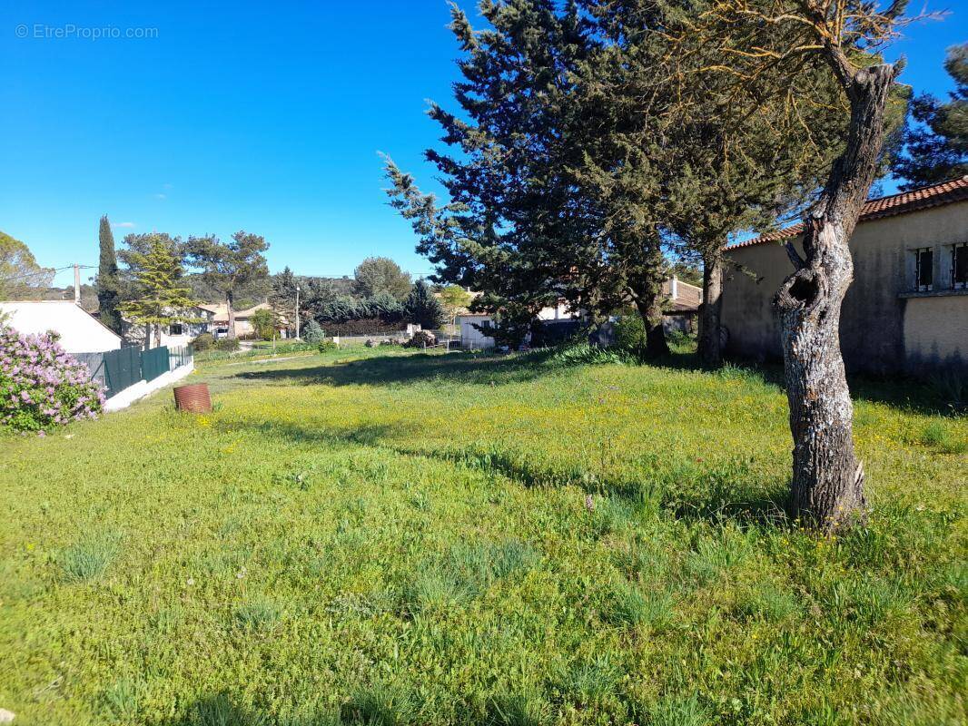 Terrain à SAINT-JULIEN