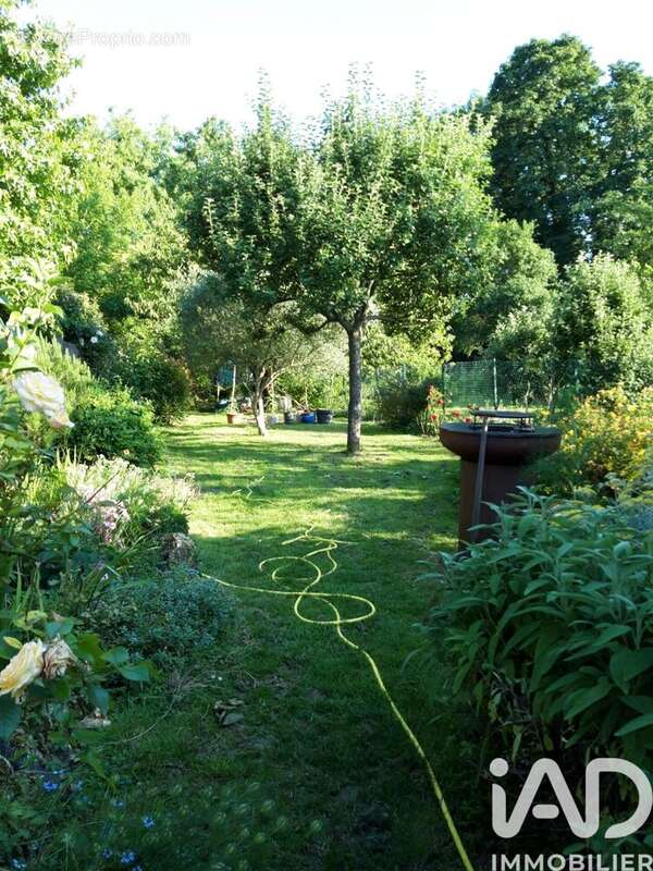 Photo 5 - Maison à ETIOLLES