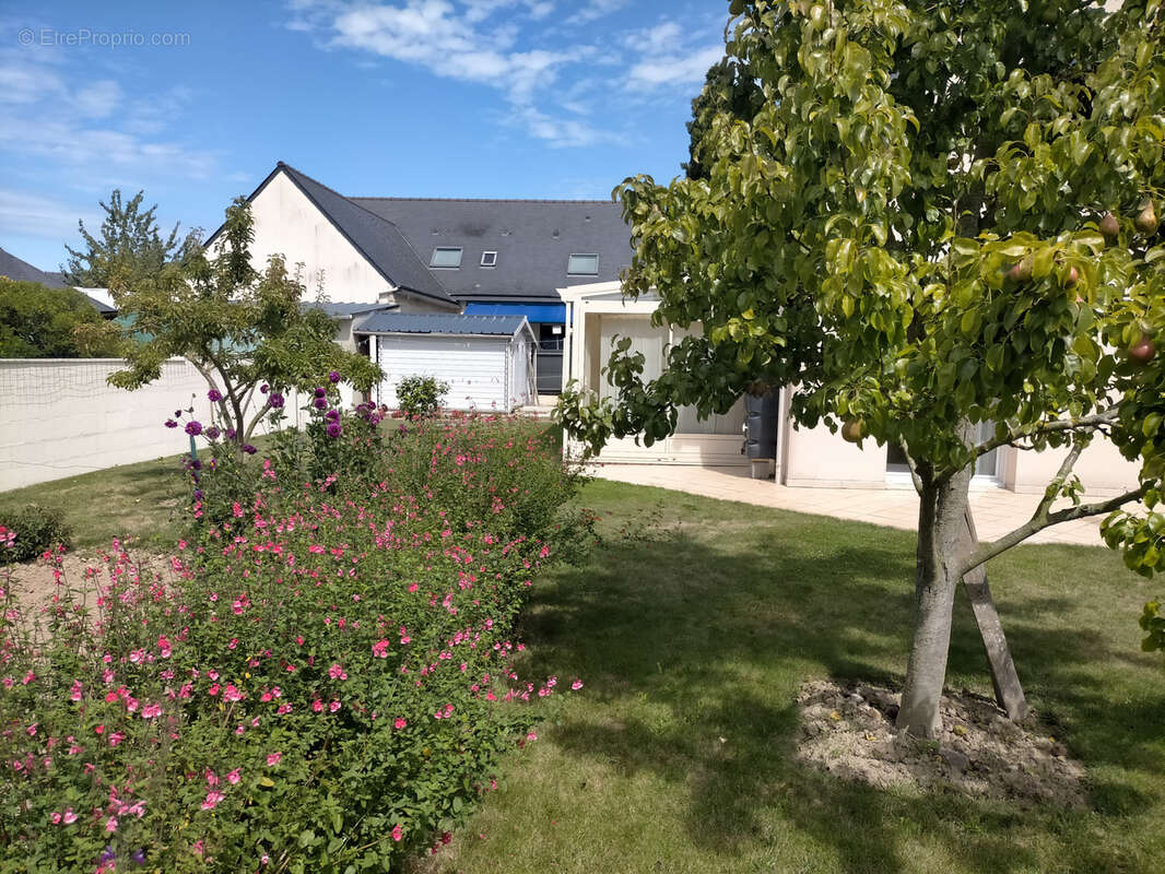 Maison à PLESSIX-BALISSON