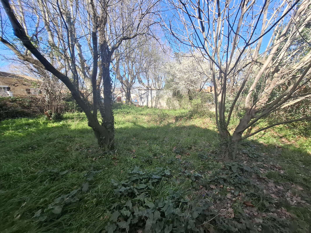 Terrain à SAINT-MARTIN-DE-CRAU
