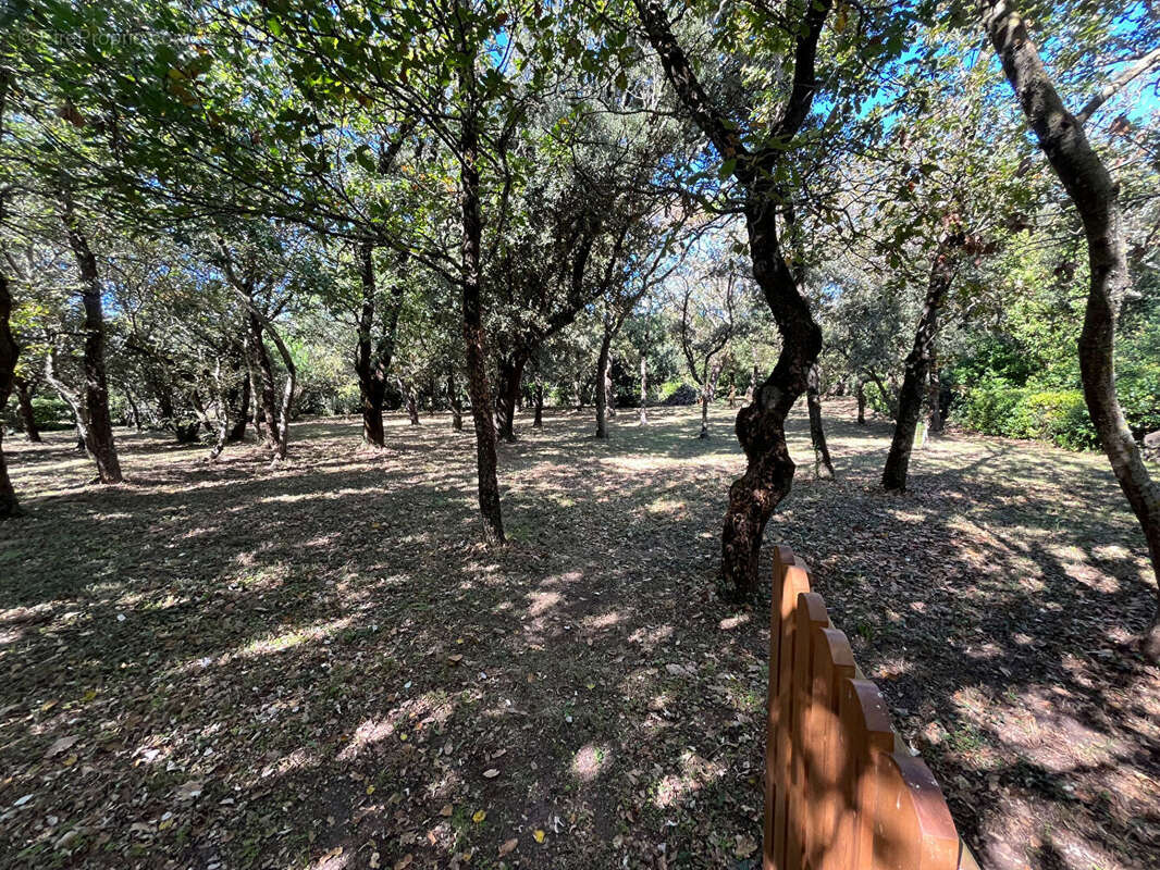 Maison à SAINT-PIERRE-D'OLERON