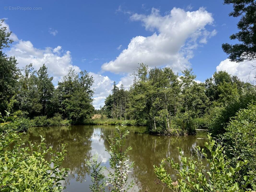 Terrain à NIEUL-LE-DOLENT
