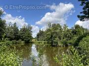 Terrain à NIEUL-LE-DOLENT