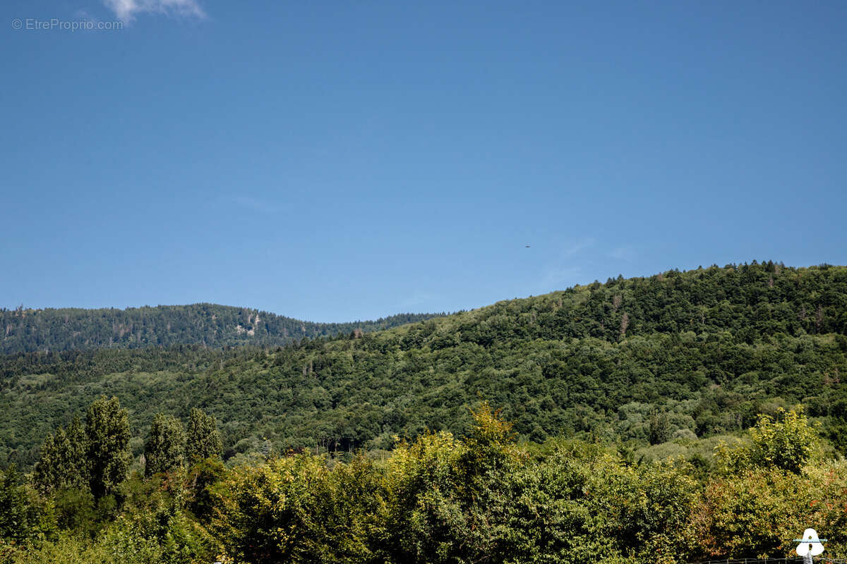 Maison à CRANVES-SALES