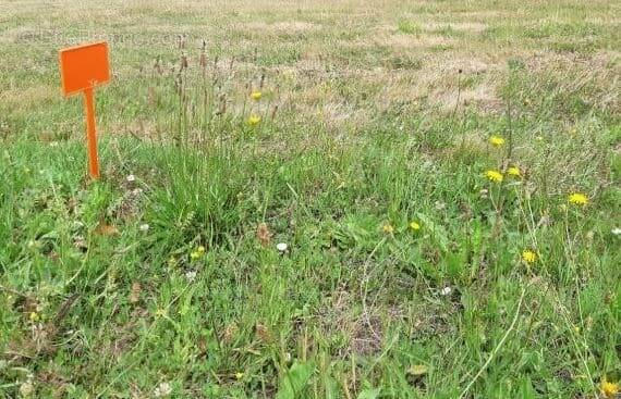 Terrain à NIEUL-LE-DOLENT