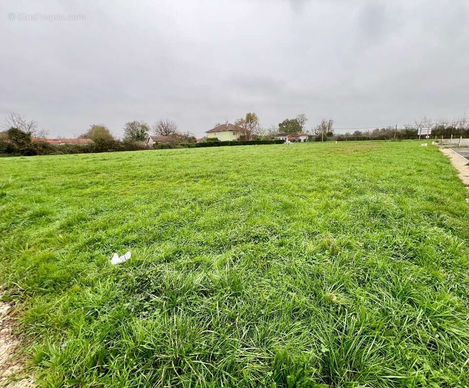 Terrain à CRAS-SUR-REYSSOUZE