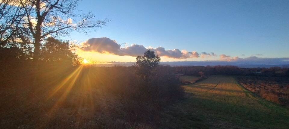 Terrain à BARJAC