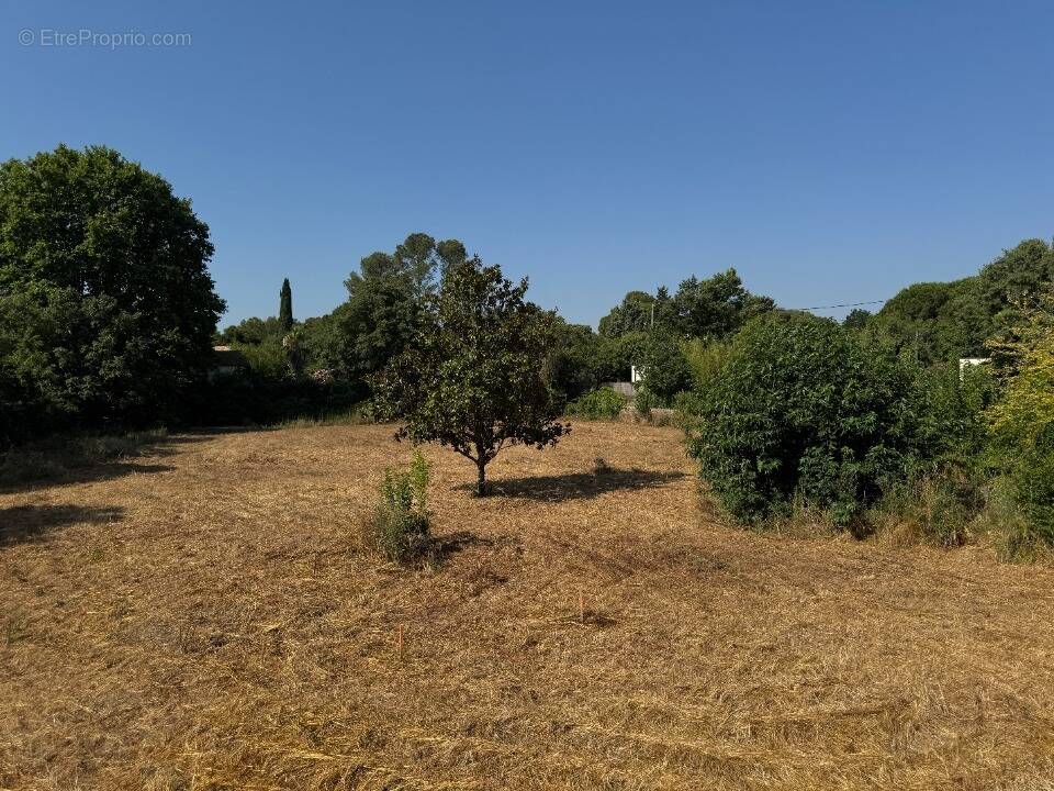 Terrain à AIGUES-VIVES