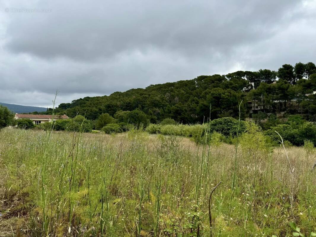 Terrain à LA CIOTAT