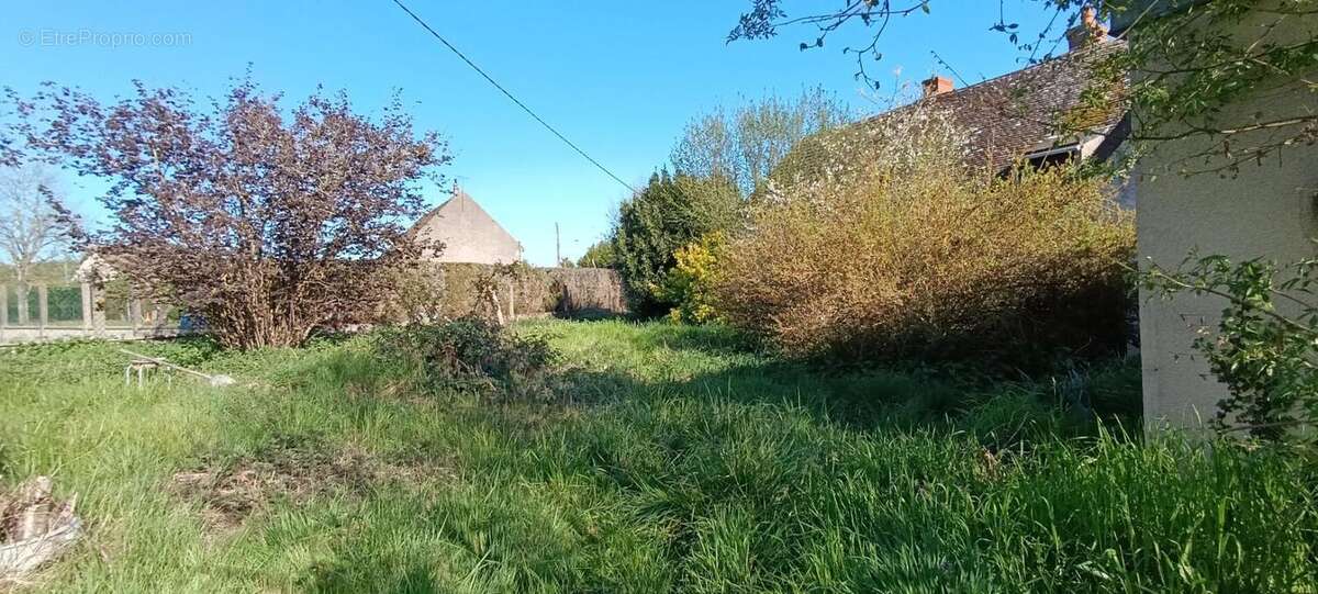 Maison à SAUVIGNY-LES-BOIS