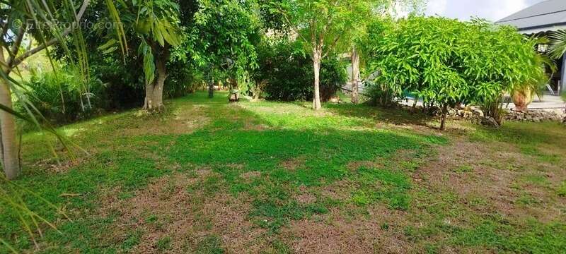 Maison à SAINT-FRANCOIS