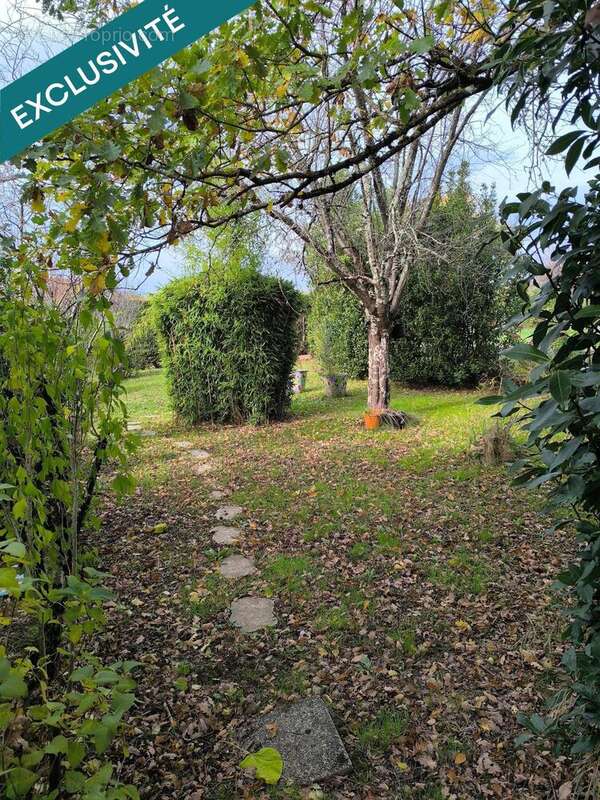 Photo 3 - Maison à SAINT-BENOIT-DE-CARMAUX