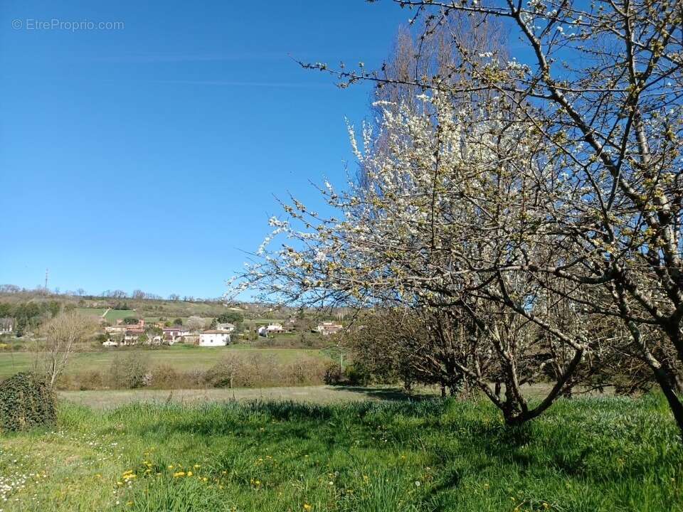 Terrain à NERAC