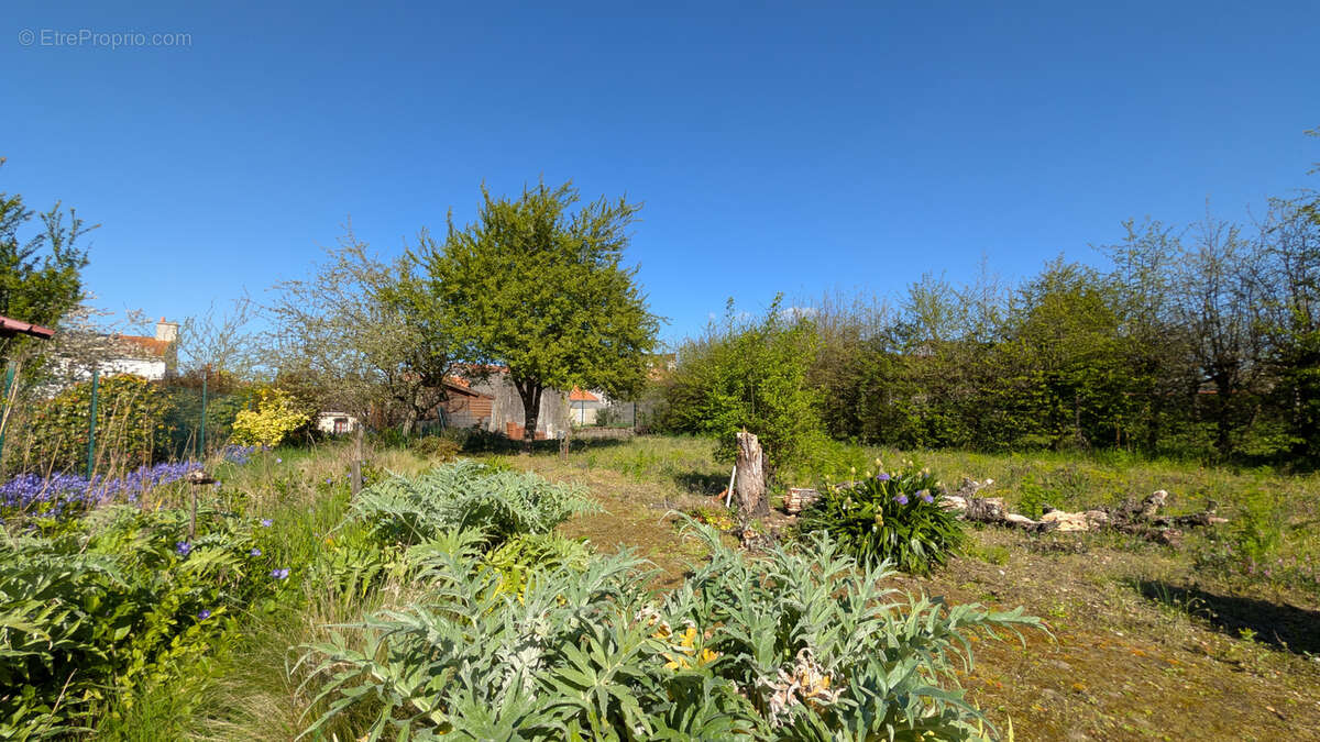 Maison à SAINT-HILAIRE-DE-CHALEONS