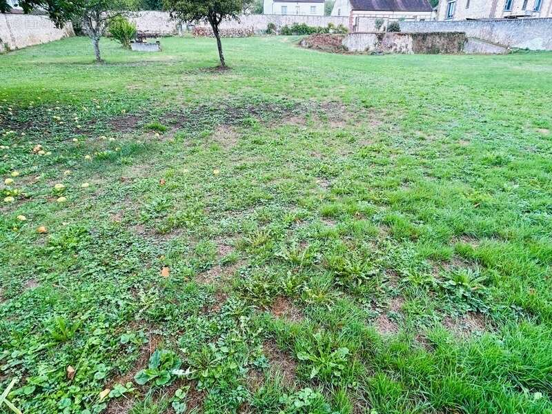  Rare à Bléneau (89220) : Magnifique terrain à bâtir de 2400 m² avec dépendance de charme - photo 4