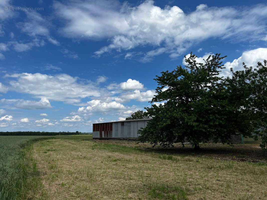 Corps de ferme rénové avec nombreuses dépendances, possibilité de 5 hectares - photo 16
