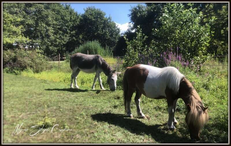 Maison à PARENTIS-EN-BORN