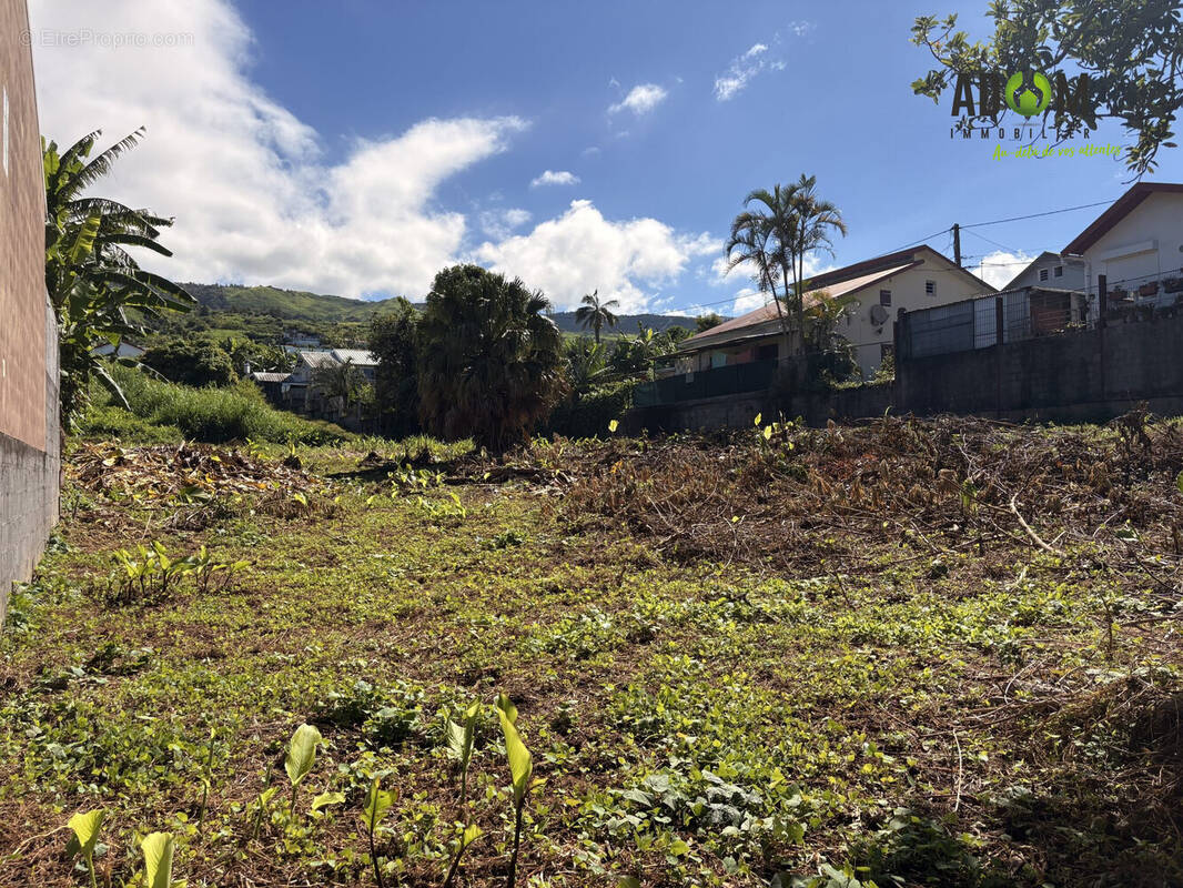 Terrain à LE PORT