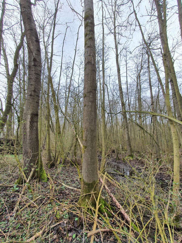 Terrain à SAINT-QUENTIN