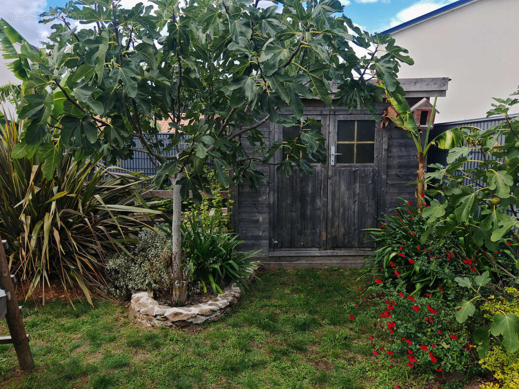 Maison à SAINT-JULIEN-DE-CONCELLES