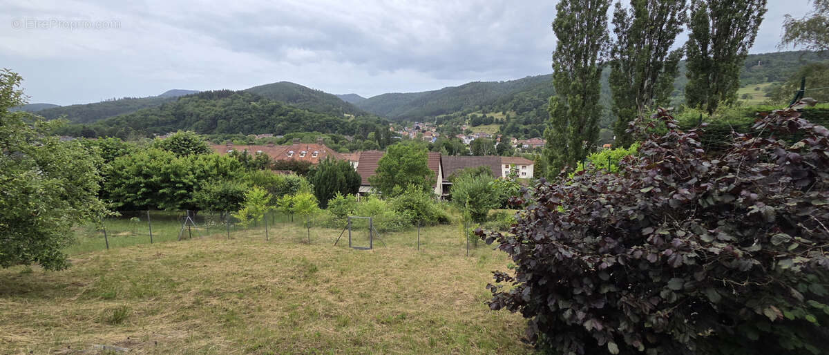 Maison à ROTHAU