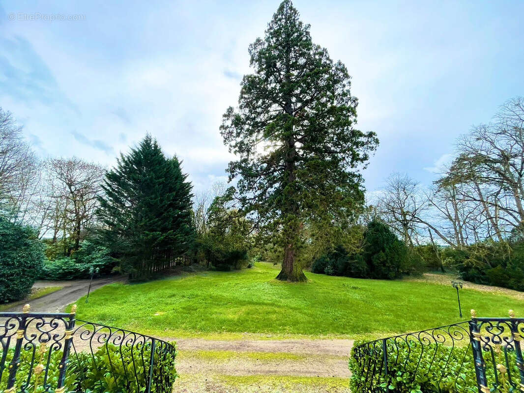 Maison à LA ROCHE-POSAY