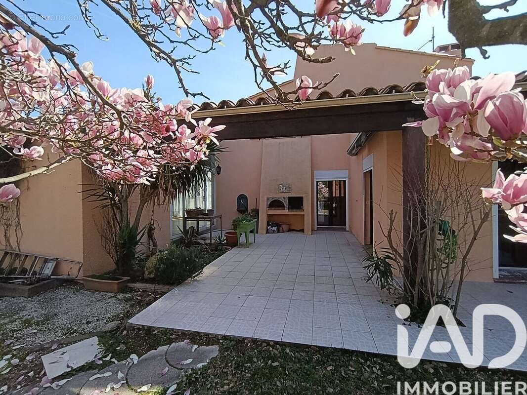 Photo 8 - Maison à MONTESQUIEU-DES-ALBERES