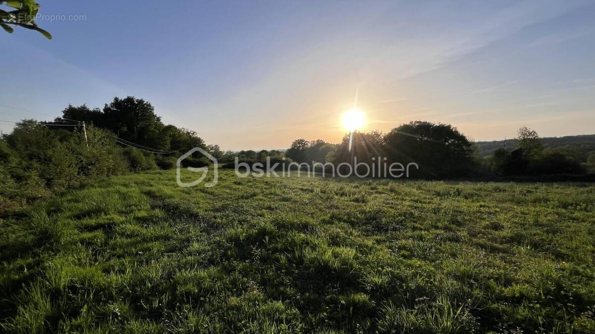 Terrain à CHATRES