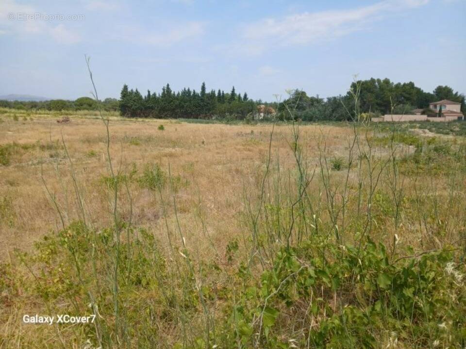 Terrain à VILLEMOLAQUE