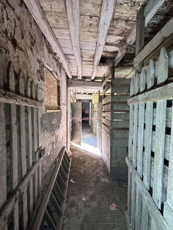 Maison à CHATEAU-RENARD