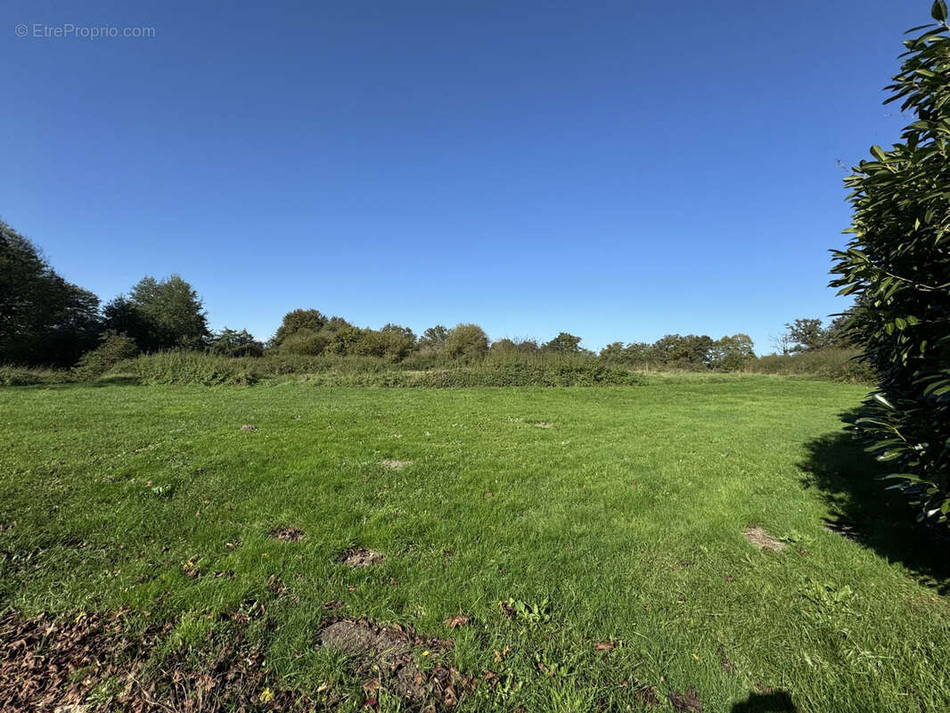 Propriété d'exception au Châtelet : 3,5 ha de nature avec piscine ! - photo 6
