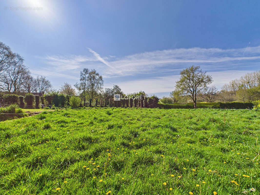Terrain à SAINT-COULITZ