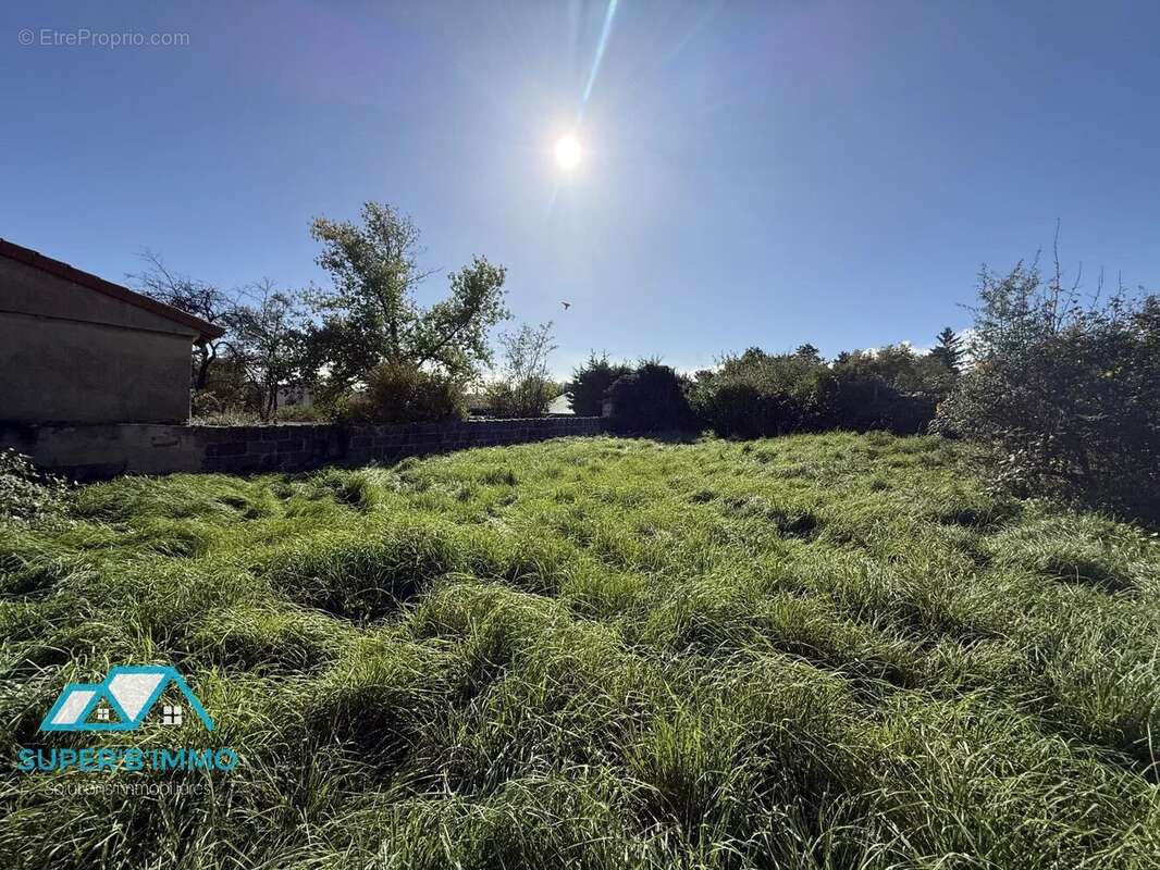 Maison à FRUGERES-LES-MINES