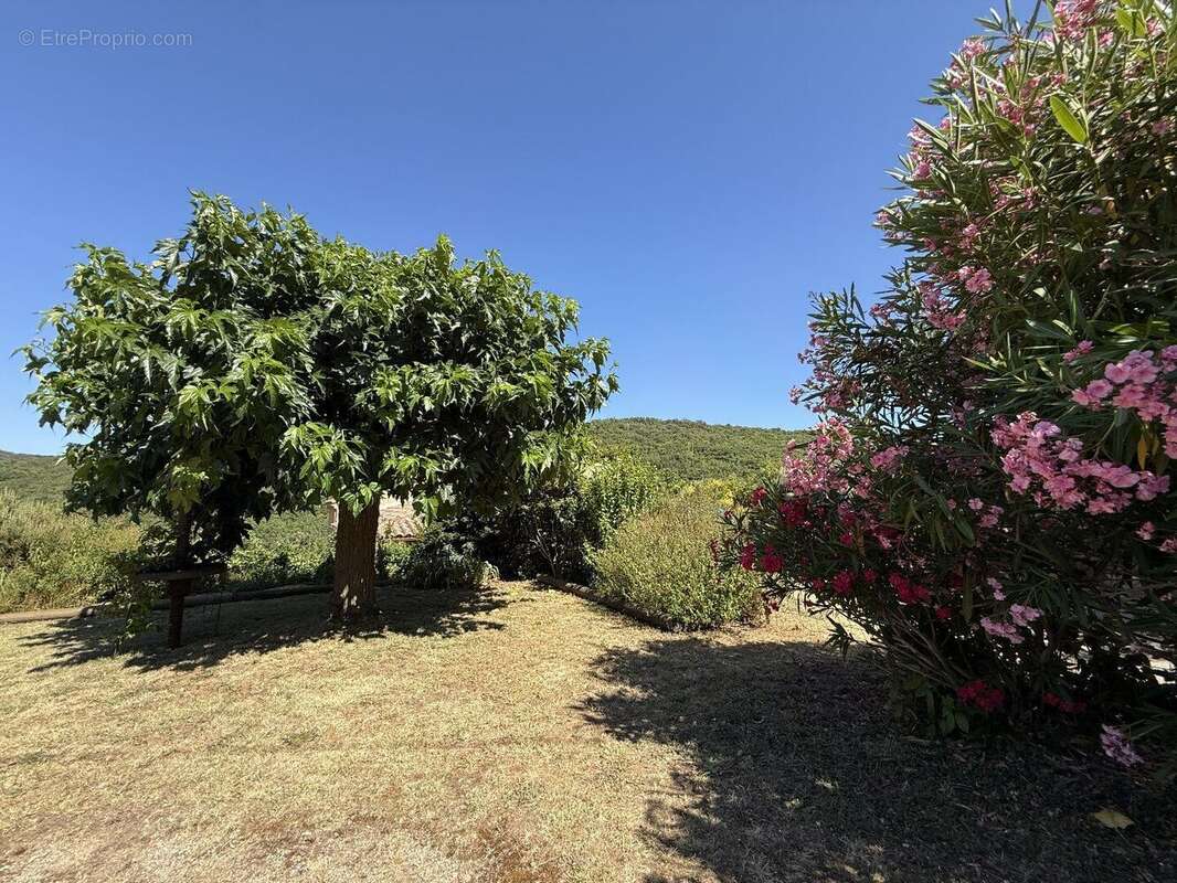 Photo 5 - Maison à FOS