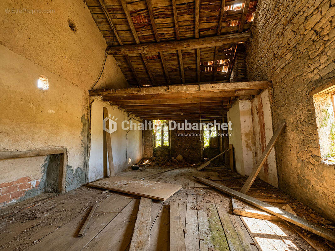 Terrain de 4576 m²  avec deux bâtiments en ruine à MONTAIGUET EN FOREZ - photo 7