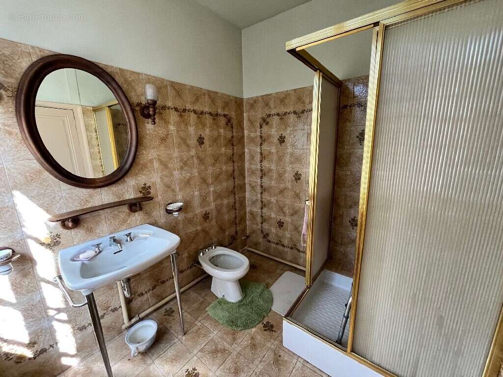 Maison 233 m² à Olivet  - photo 9