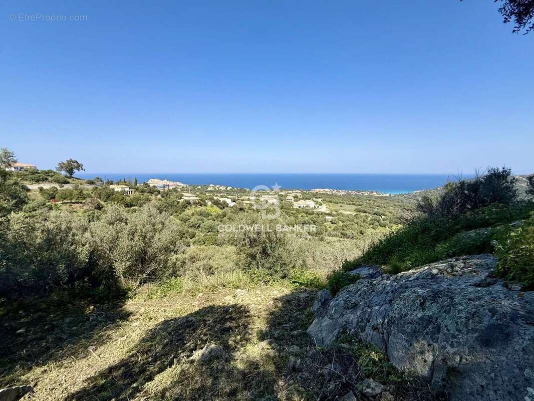 Terrain à MONTICELLO