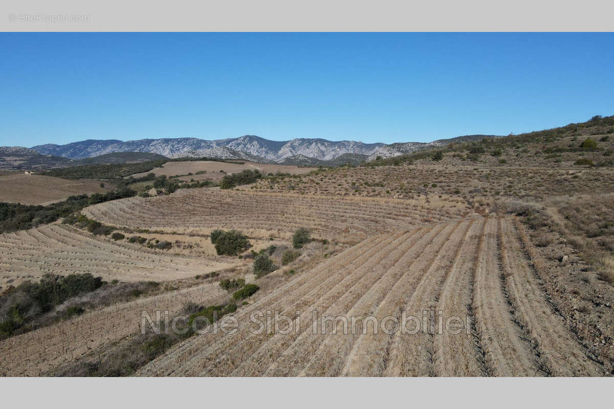 Terrain à RASIGUERES