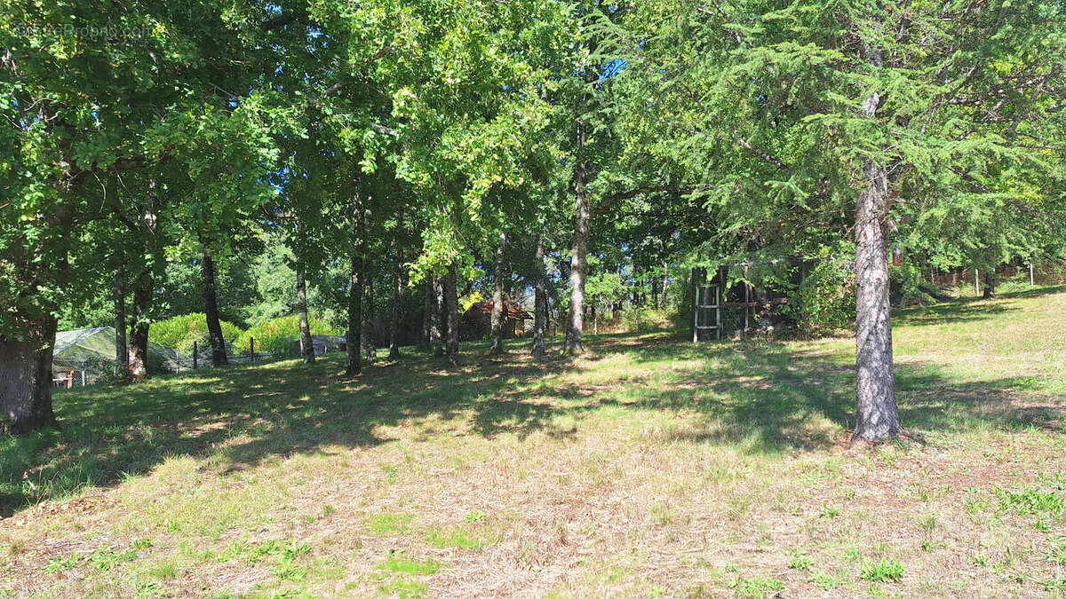 20250917_140829 - Terrain à SAINT-PARDOUX-LA-RIVIERE